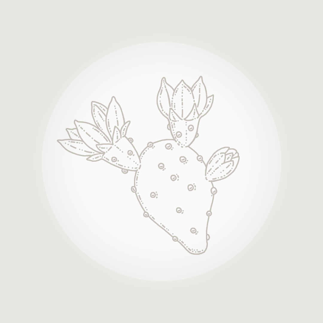 Barbary Fig (Opuntia Ficus-Indica Seed Oil)