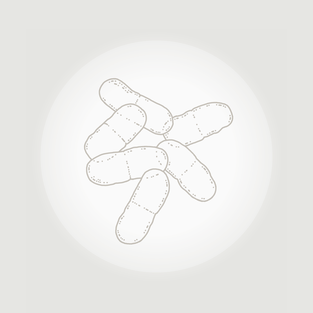 Probiotics