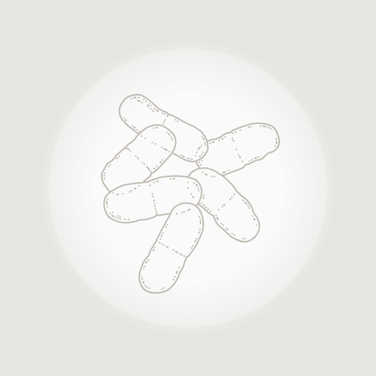 Probiotics