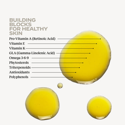 Illustration of building blocks for healthy skin with labeled components included in OM-SE Balancing Face Oil.